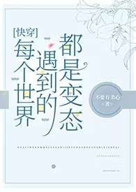 消失的蝴蝶发夹
